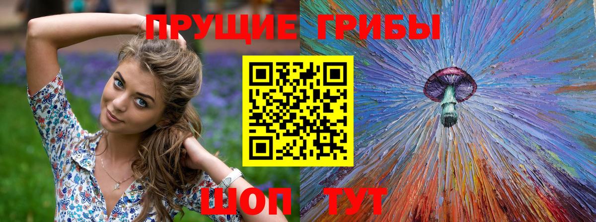 Галлюциногенные грибы мицелий Будённовск