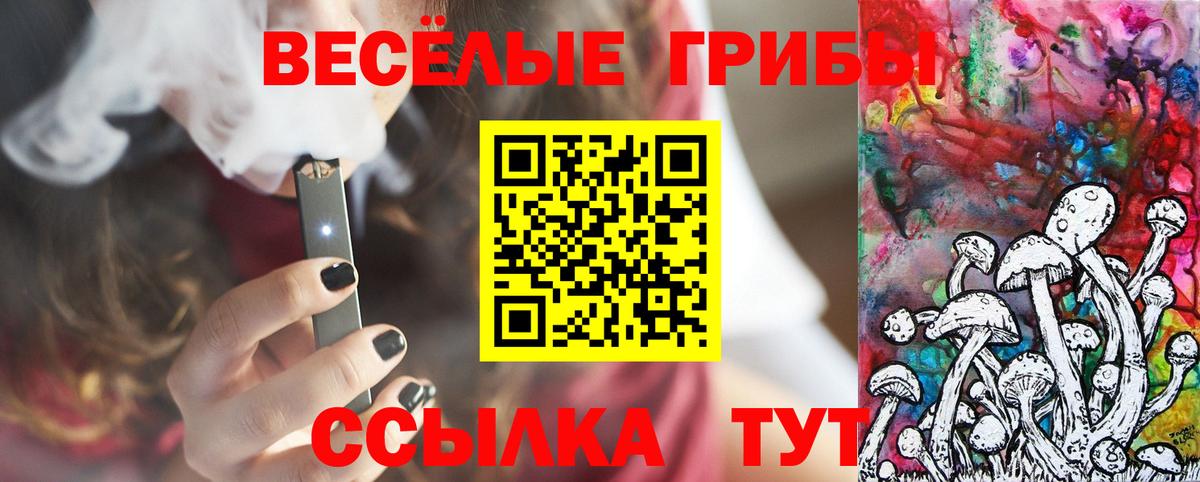 Будённовск  Галлюциногенные грибы прущие грибы  Вход с VPN  Псилоцибиновые грибы Psilocybine cubensis 